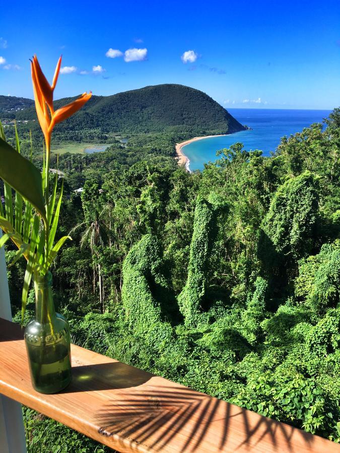 Villa Du Côté de Chez Swann Deshaies Esterno foto